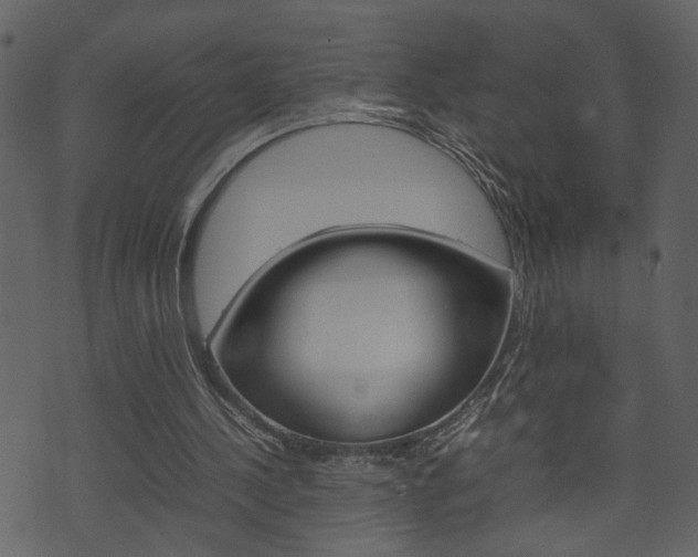 X0000074330244200608251027