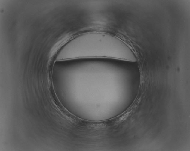 X0000074330245200608251027