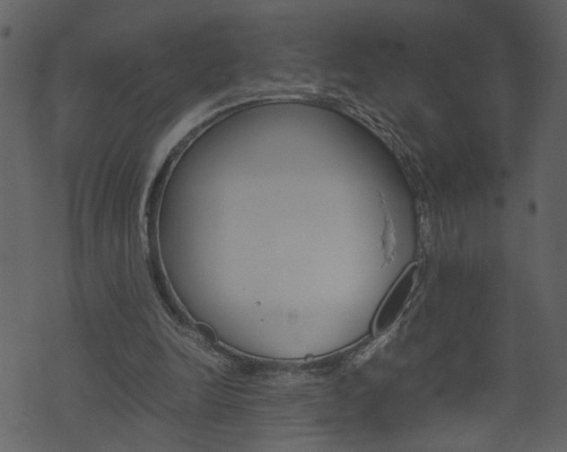 X0000074330246200608251027