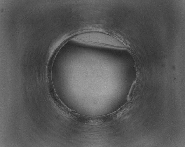 X0000074330248200608251027