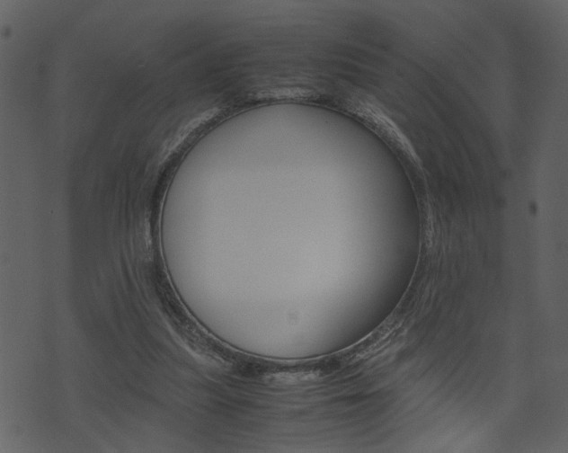 X0000074330251200608251027