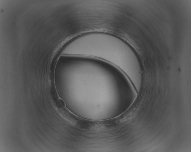 X0000074330252200608251027