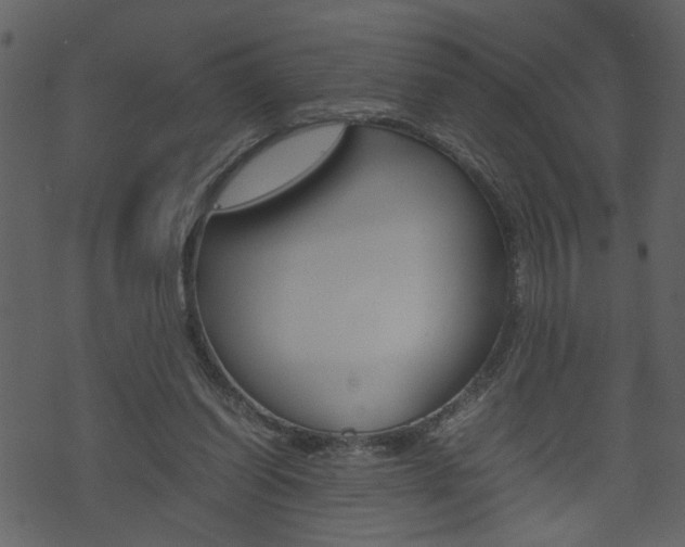 X0000074330254200608251027
