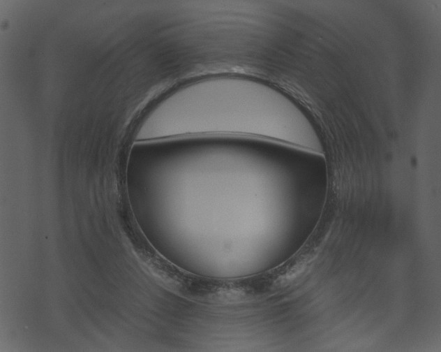 X0000074330256200608251027