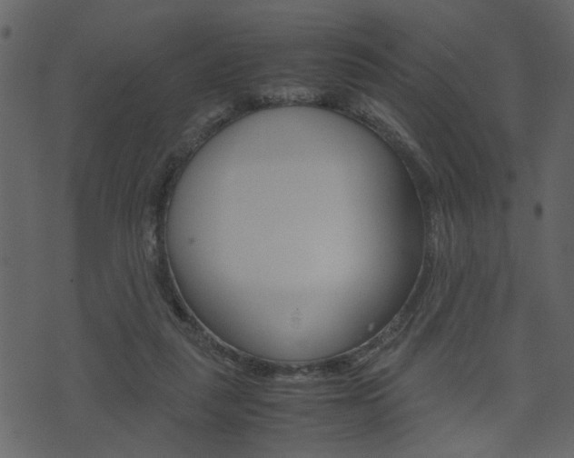 X0000074330259200608251027