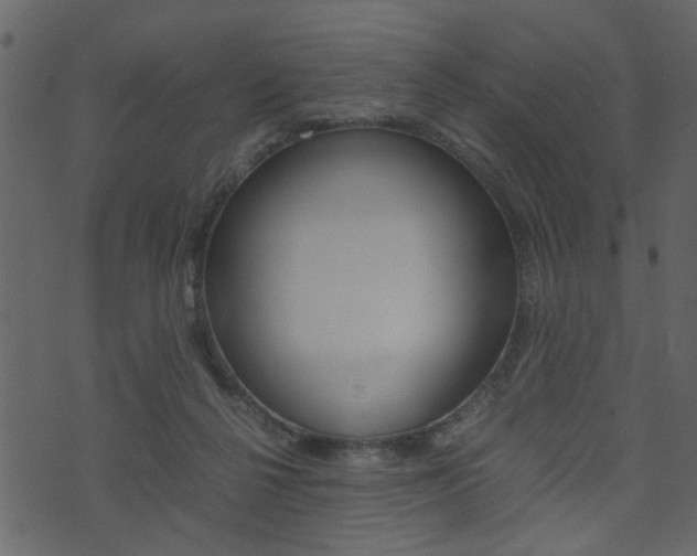 X0000074330264200608251027