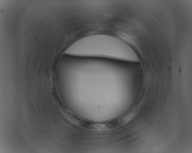X0000074330265200608251027