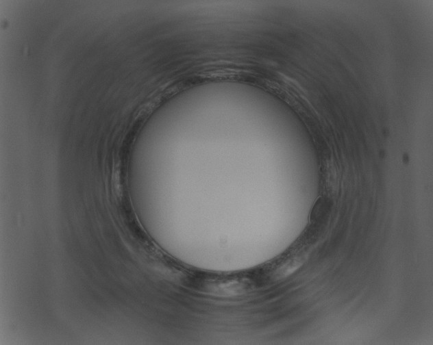 X0000074330267200608251027