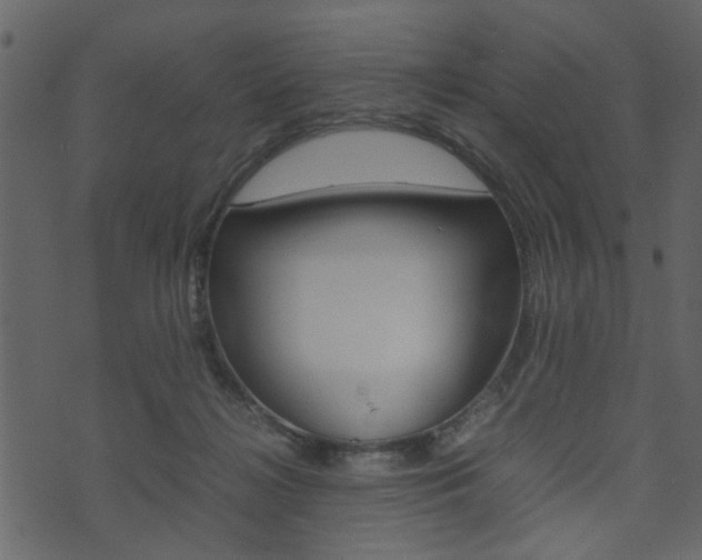 X0000074330268200608251027