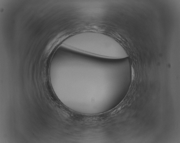 X0000074330291200608251027