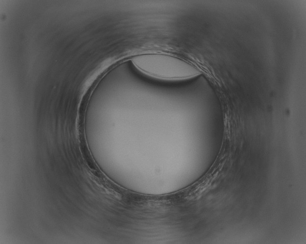 X0000074330292200608251027