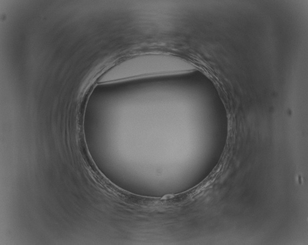 X0000074330293200608251027
