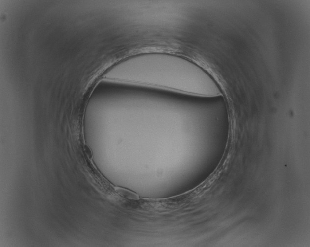 X0000074330297200608251027