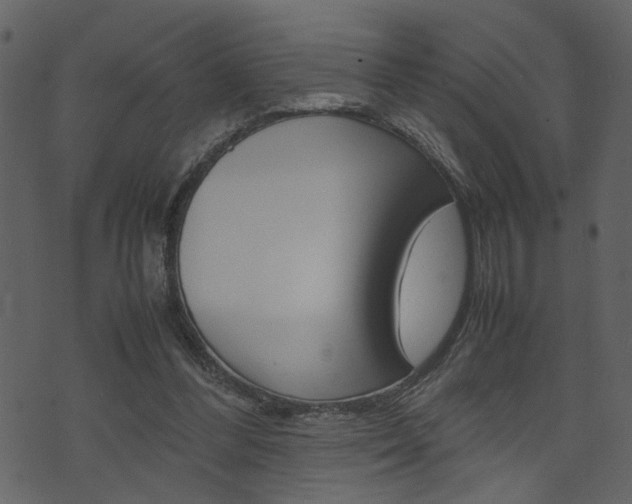 X0000074330300200608251027