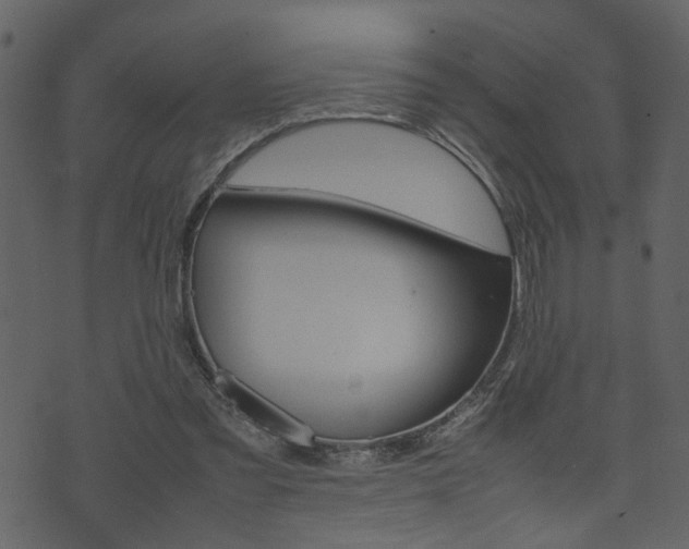 X0000074330301200608251027