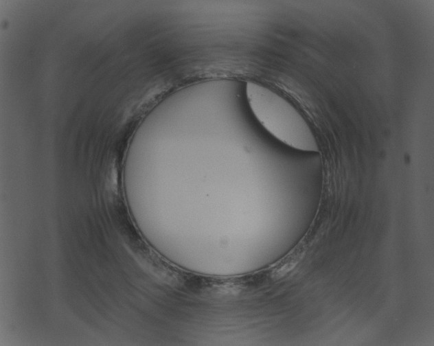 X0000074330310200608251027