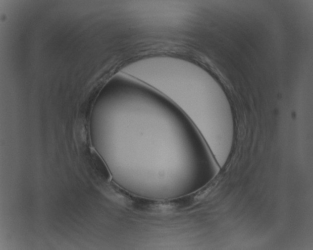X0000074330313200608251027