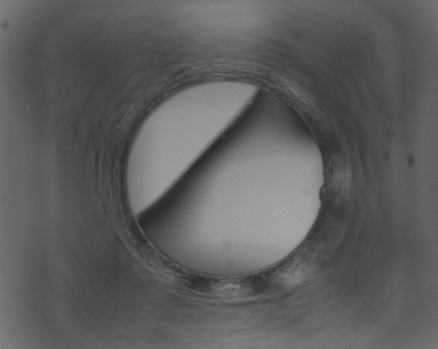 X0000074330315200608251027
