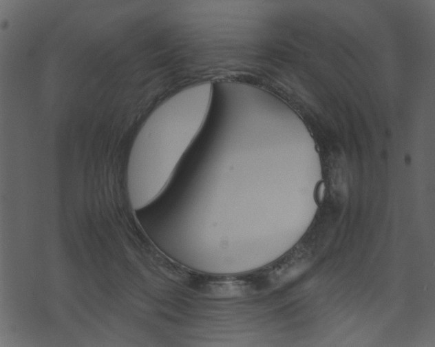 X0000074330316200608251027