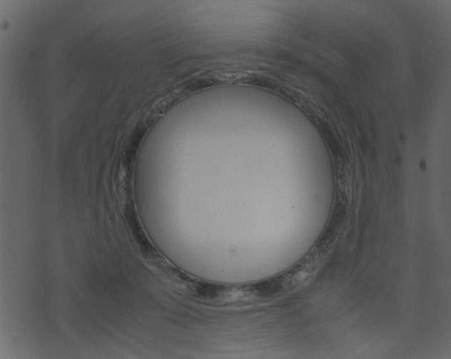 X0000074330319200608251027
