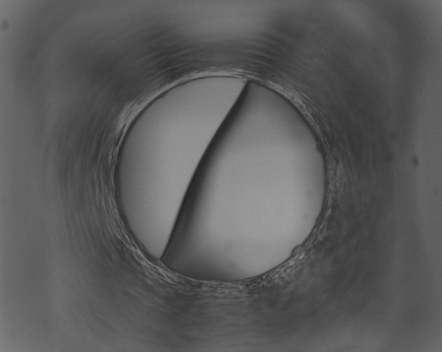 X0000074330337200608251025