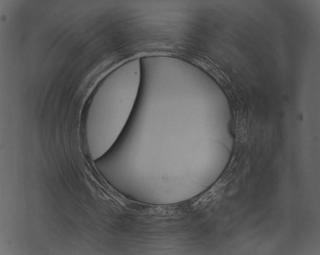 X0000074330338200608251025