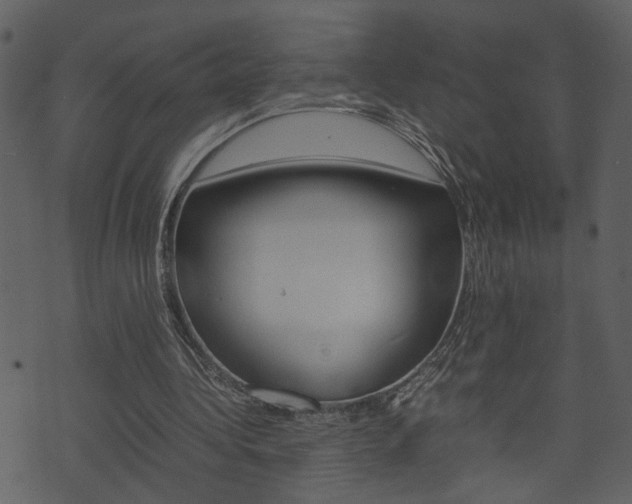 X0000074330340200608251026