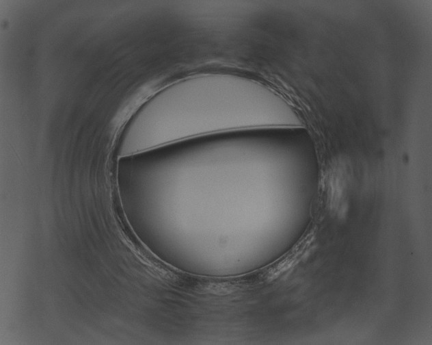 X0000074330341200608251026
