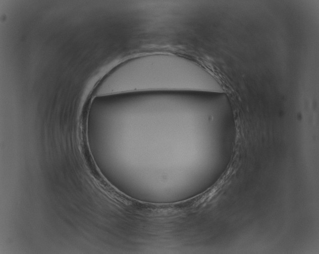 X0000074330342200608251026