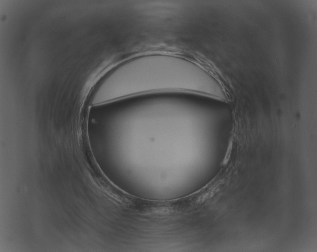 X0000074330344200608251026