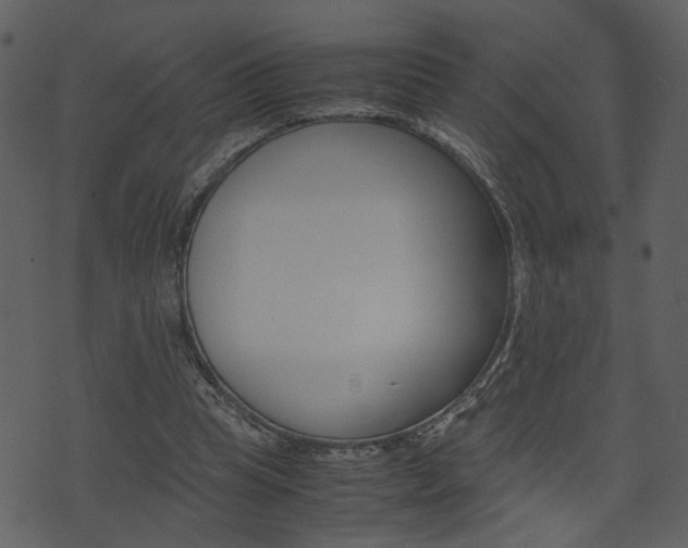 X0000074330345200608251026