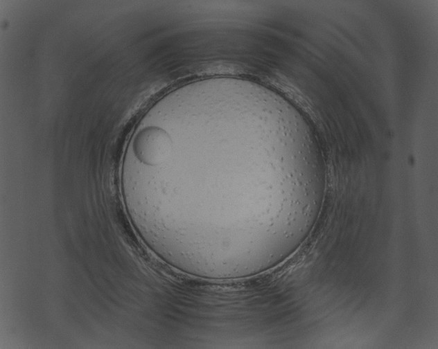 X0000074330347200608251026