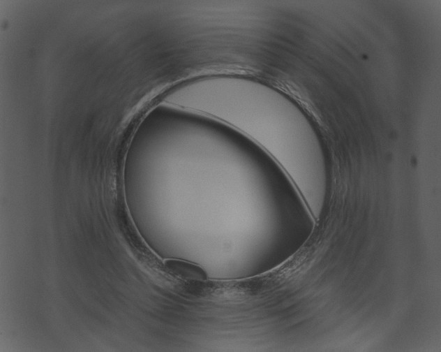 X0000074330348200608251026