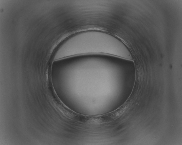 X0000074330350200608251026