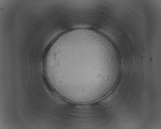 X0000074330351200608251026