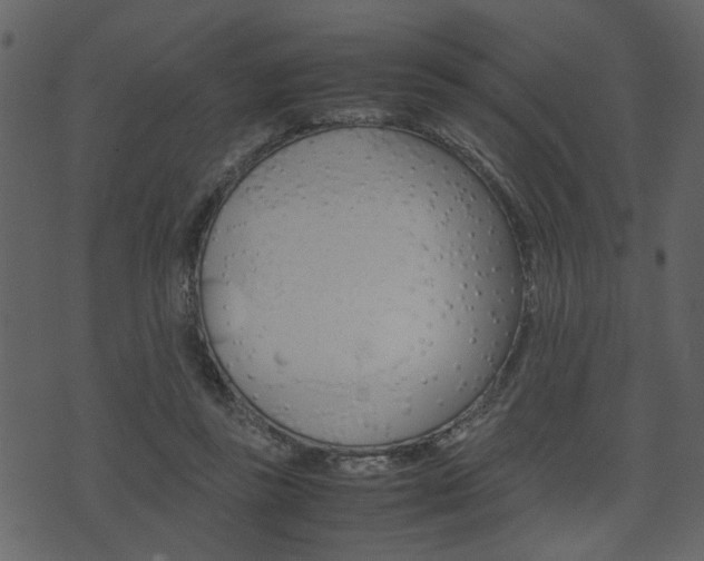 X0000074330355200608251026