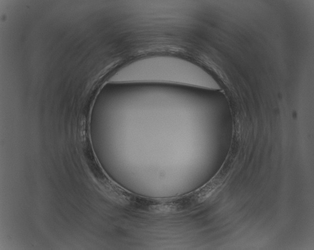 X0000074330356200608251026