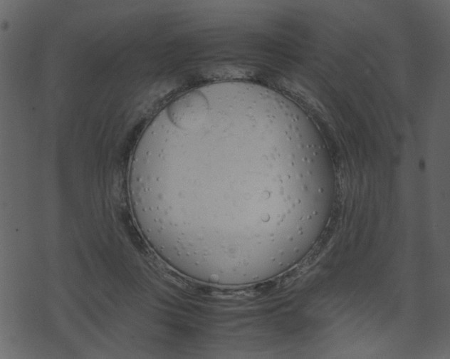 X0000074330359200608251026