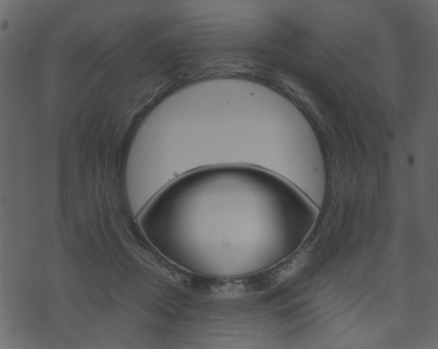 X0000074330362200608251026