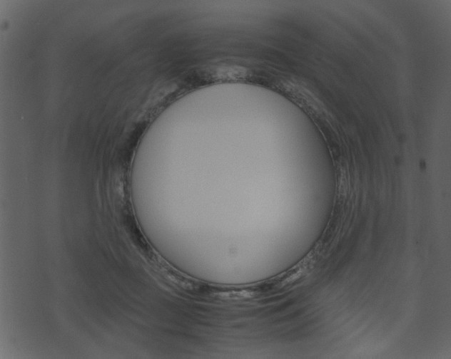 X0000074330363200608251026