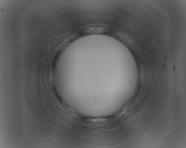 X0000074330371200608251026
