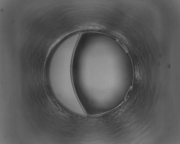X0000074330388200608251025