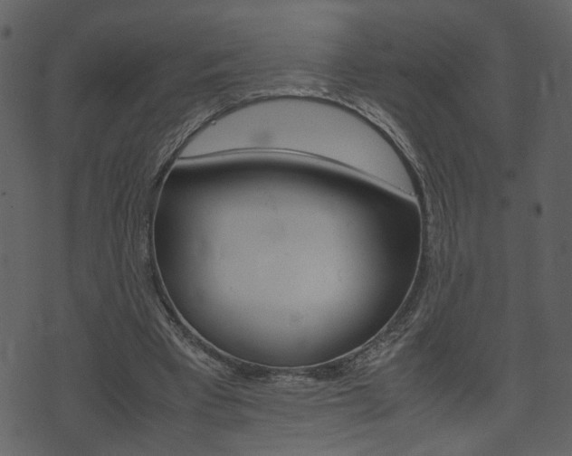 X0000074330393200608251025