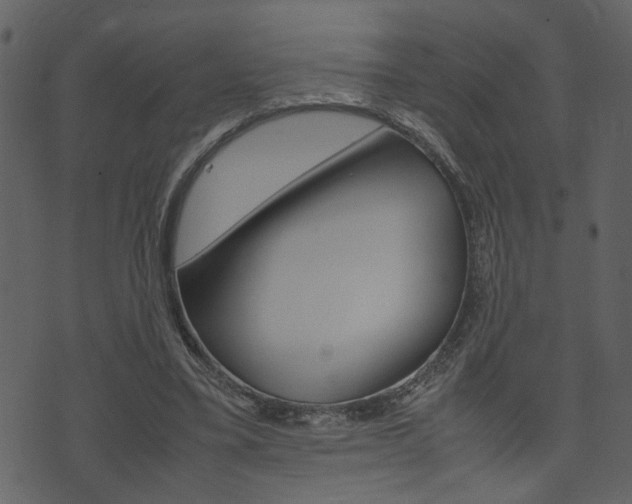 X0000074330395200608251025