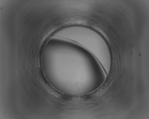 X0000074330399200608251025