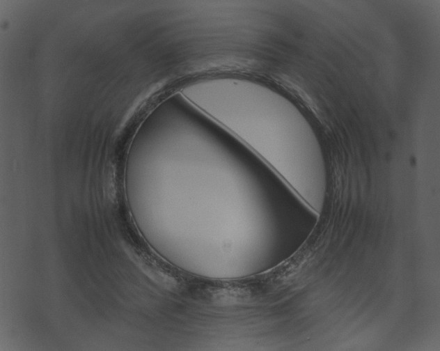 X0000074330400200608251025