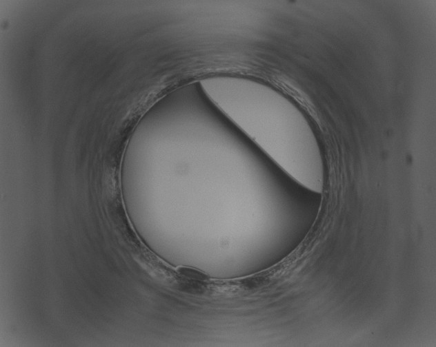 X0000074330401200608251025