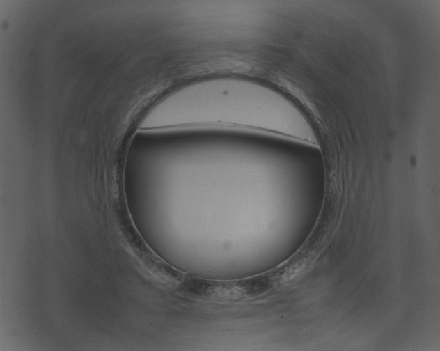 X0000074330403200608251025