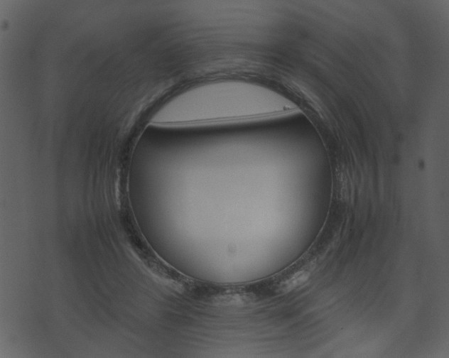X0000074330404200608251025