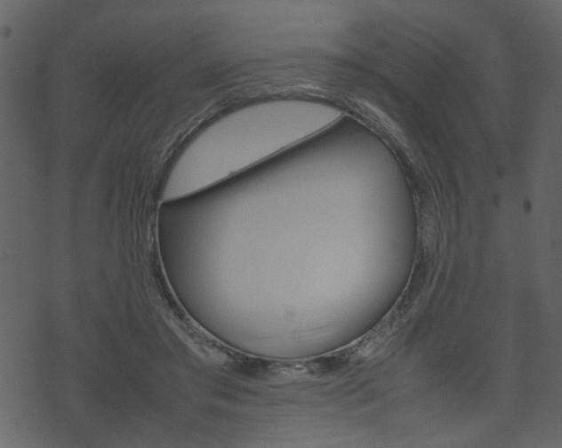 X0000074330405200608251025